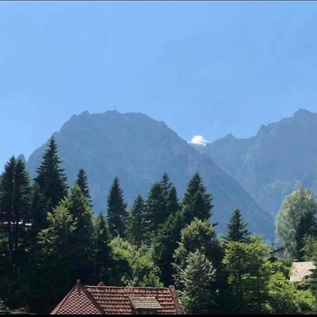 Pensiunea Sport Busteni Bagian luar foto