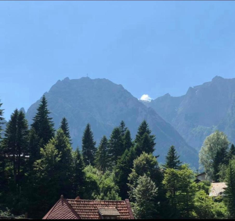 Pensiunea Sport Busteni Bagian luar foto