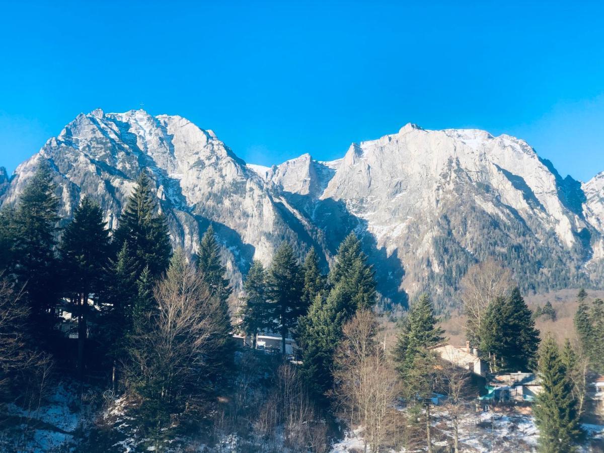 Pensiunea Sport Busteni Bagian luar foto