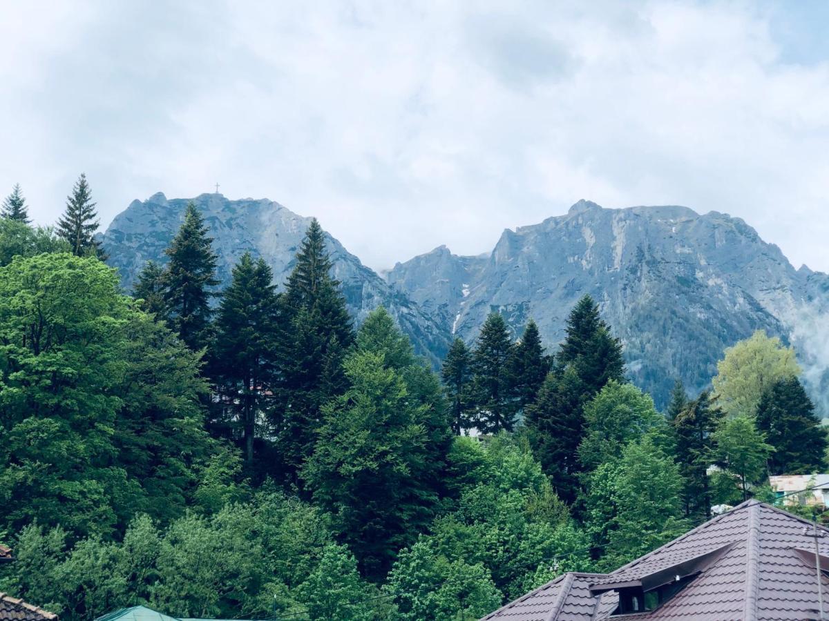 Pensiunea Sport Busteni Bagian luar foto